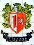 Thusat shield